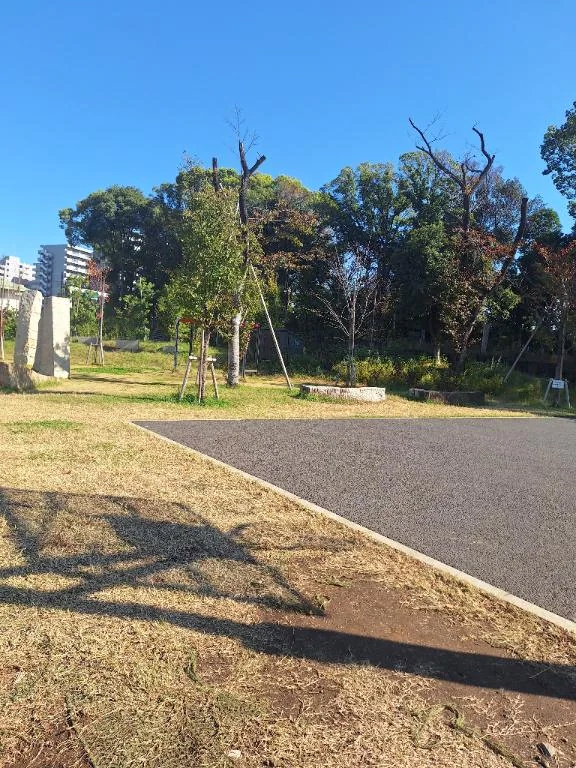 『朝から公園🌿✨』