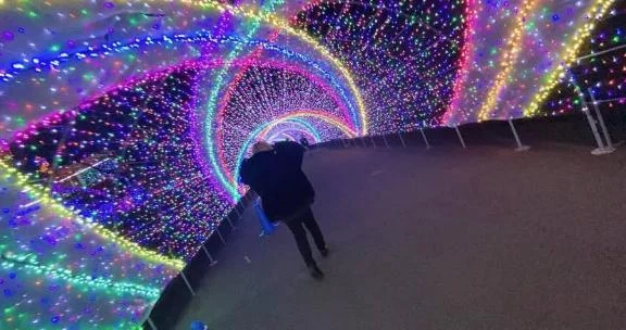 夜遅くに