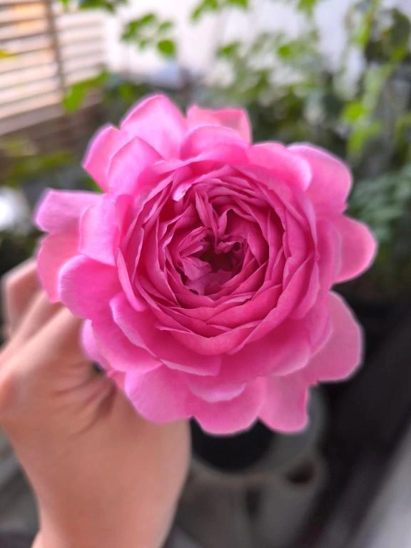 今年も1年ありがとうございました🍌