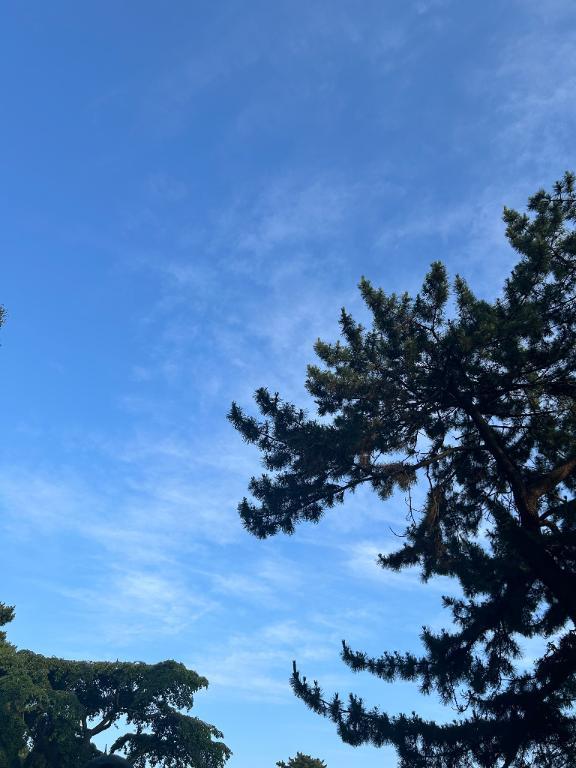 ⚠️熱中症注意⚠️