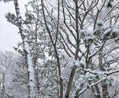 うひょ〜〜！！！