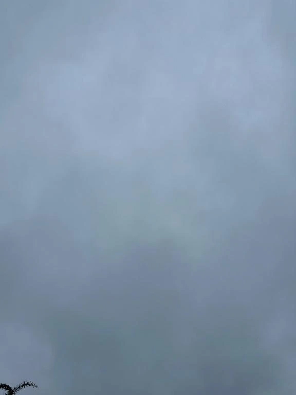 今日は事前予約がおすすめです✨️