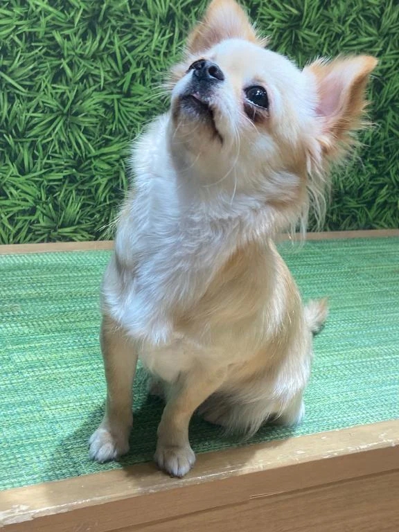 やっと
