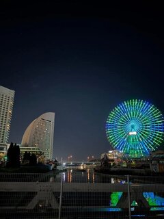 今日もいる!
